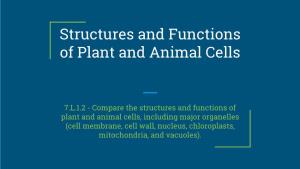 Structures and Functions of Plant and Animal Cells
