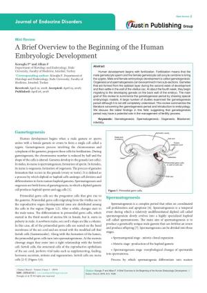 A Brief Overview to the Beginning of the Human Embryologic Development