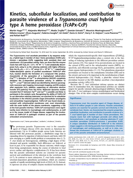 Kinetics, Subcellular Localization, and Contribution to Parasite Virulence of a Trypanosoma Cruzi Hybrid Type a Heme Peroxidase (Tcapx-Ccp)
