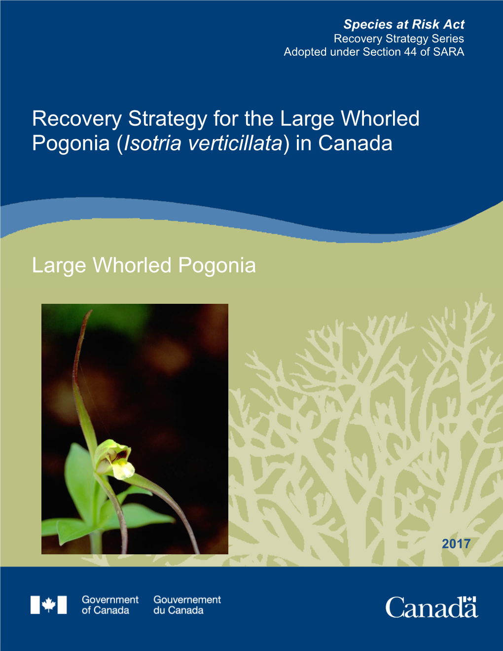 Recovery Strategy for the Large Whorled Pogonia (Isotria Verticillata) in Canada