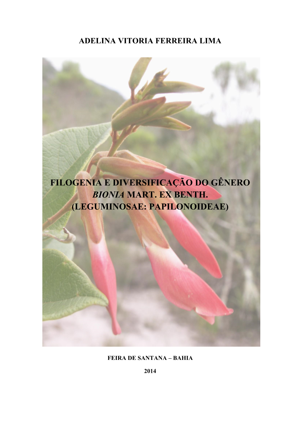 Filogenia E Diversificação Do Gênero Bionia Mart. Ex. Benth