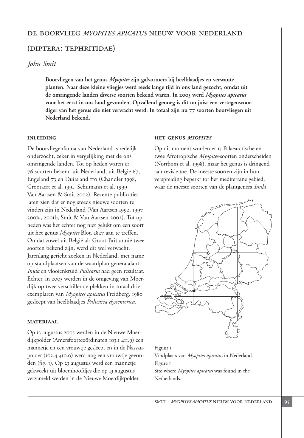 De Boorvlieg MYOPITES APICATUS Nieuw Voor Nederland (Diptera: Tephritidae)