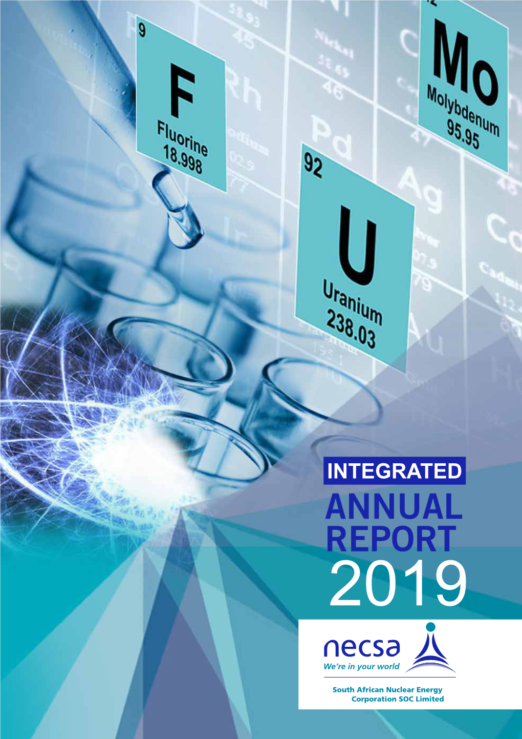 Annual Report 2019