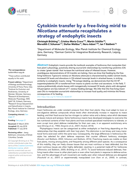 Cytokinin Transfer by a Free-Living Mirid to Nicotiana Attenuata