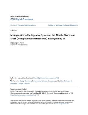 Microplastics in the Digestive System of the Atlantic Sharpnose Shark (Rhizoprionodon Terraenovae) in Winyah Bay, SC