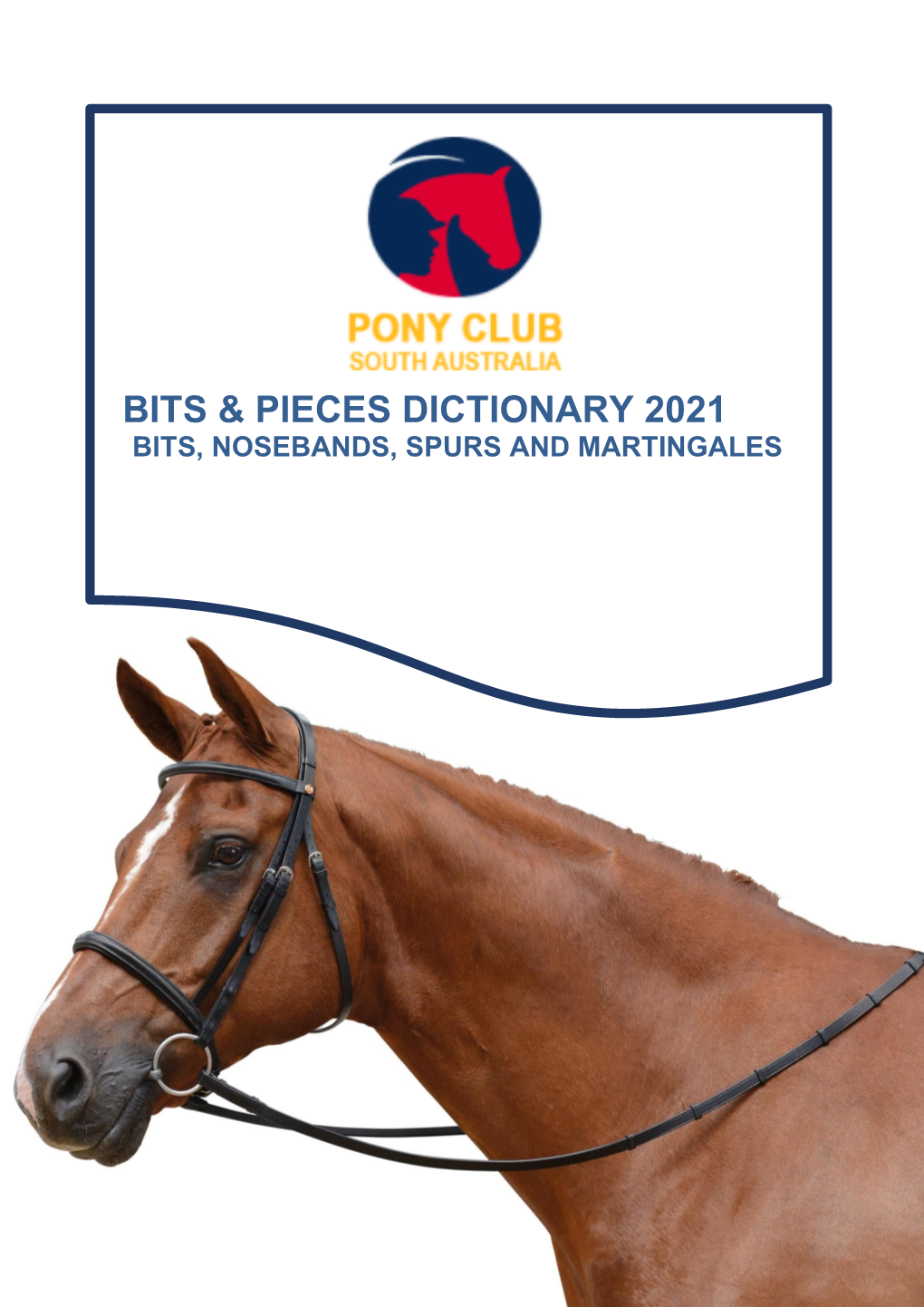 Bits & Pieces Dictionary 2021