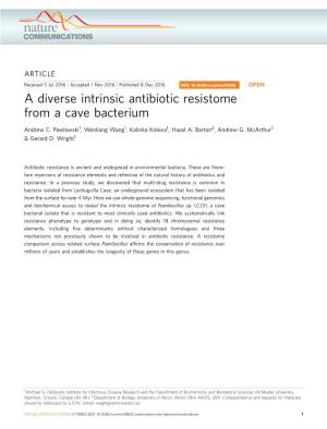 A Diverse Intrinsic Antibiotic Resistome from a Cave Bacterium