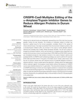 CRISPR-Cas9 Multiplex Editing of the Α-Amylase/Trypsin Inhibitor Genes to Reduce Allergen Proteins in Durum Wheat
