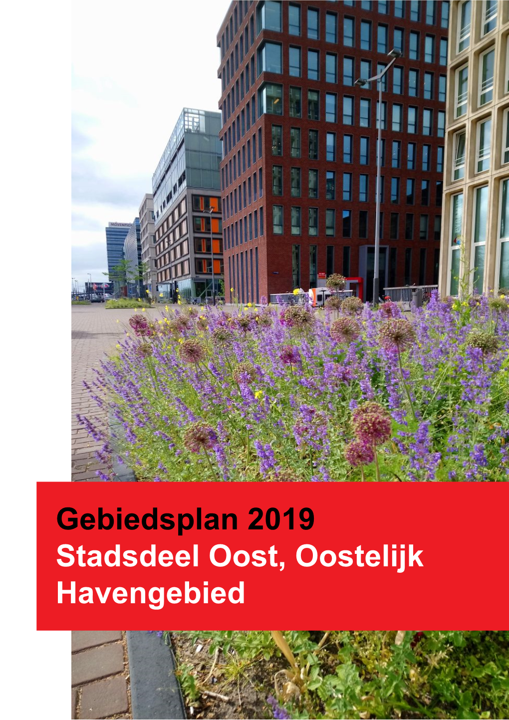 Gebiedsplan Oostelijk Havengebied 2019