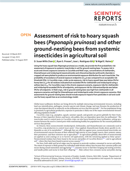 Assessment of Risk to Hoary Squash Bees (Peponapis Pruinosa) and Other Ground-Nesting Bees from Systemic Insecticides in Agricul