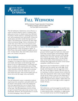 Fall Webworm Bill Ree, Extension Program Specialist II–Entomology and Marty Jungman, Extension Agent–IPM, the Texas A&M University System