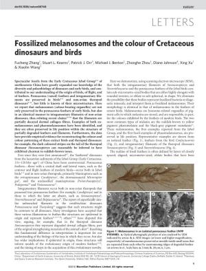 Fossilized Melanosomes and the Colour of Cretaceous Dinosaurs and Birds