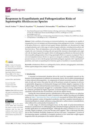 Responses to Ecopollutants and Pathogenization Risks of Saprotrophic Rhodococcus Species