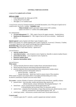 CENTRAL NERVOUS SYSTEM Composed from Spinal Cord and Brain