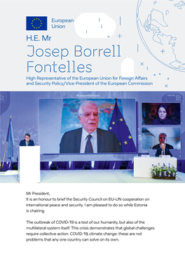Josep Borrell Fontelles High Representative of the European Union for Foreign Affairs and Security Policy/Vice-President of the European Commission
