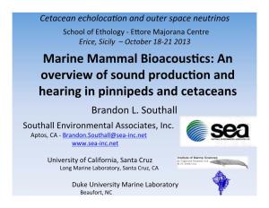 Southall Erice Marine Mammal Bioacoustics