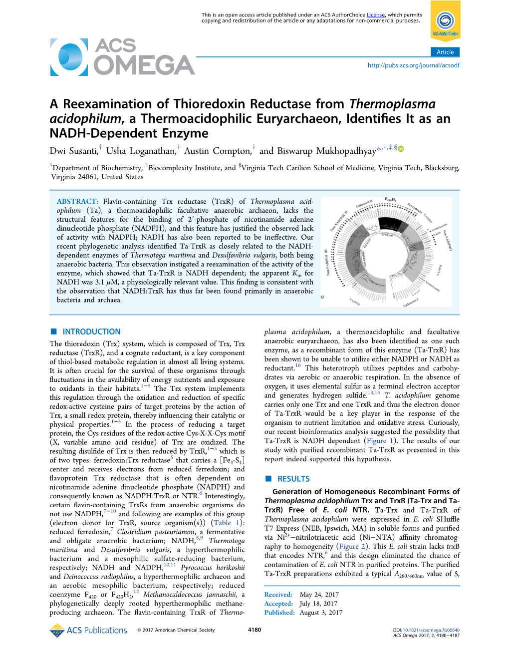 A Reexamination of Thioredoxin Reductase from Thermoplasma