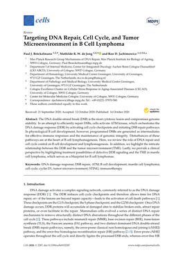 Targeting DNA Repair, Cell Cycle, and Tumor Microenvironment in B Cell Lymphoma