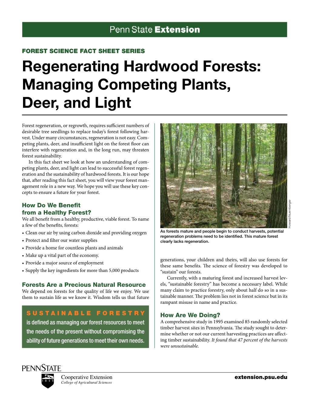 Regenerating Hardwood Forests: Managing Competing Plants, Deer, and Light