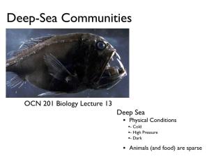 Deep-Sea Communities