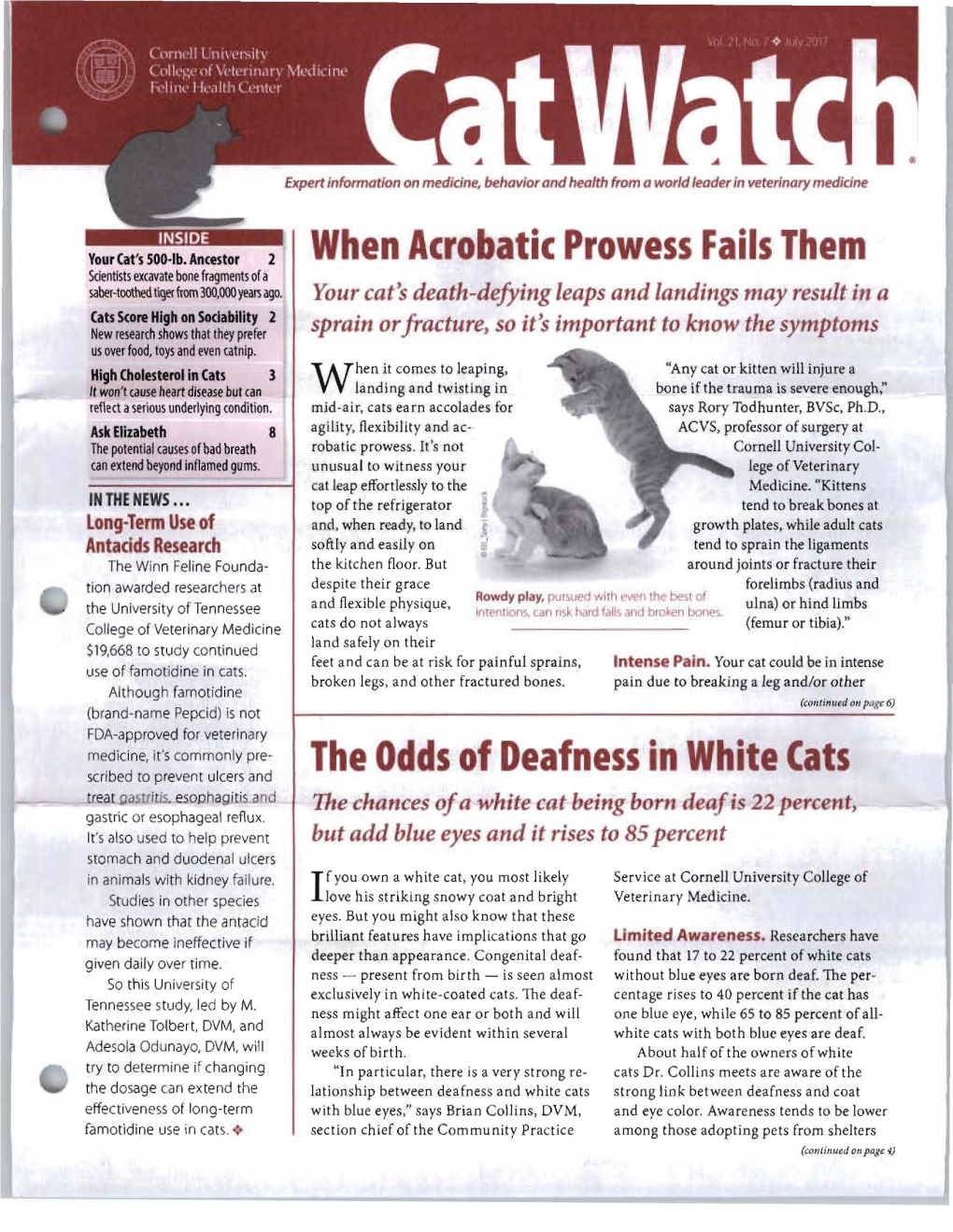 When Acrobatic Prowess Fails Them the Odds of Deafness in White Cats