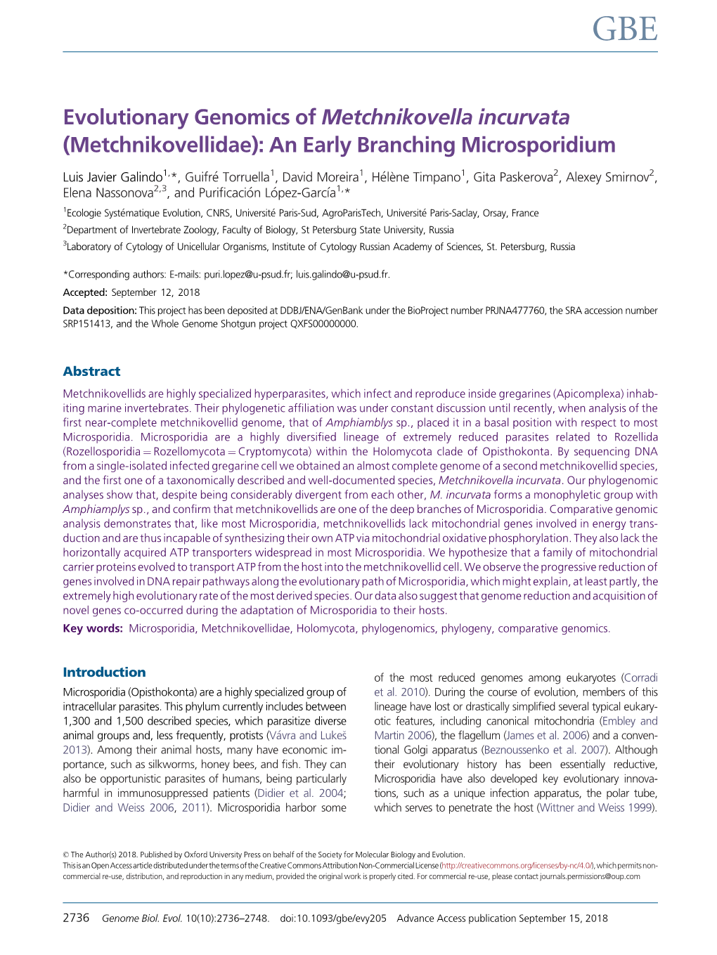 Evolutionary Genomics of Metchnikovella Incurvata (Metchnikovellidae): an Early Branching Microsporidium