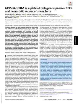 GPR56/ADGRG1 Is a Platelet Collagen-Responsive GPCR and Hemostatic Sensor of Shear Force