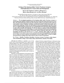 Ecology of the Jamaican Slider Turtle (Trachemys Terrapen), with Implications for Conservation and Management