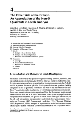 An Appreciation of the Non-D Quadrants in Leech Embryos
