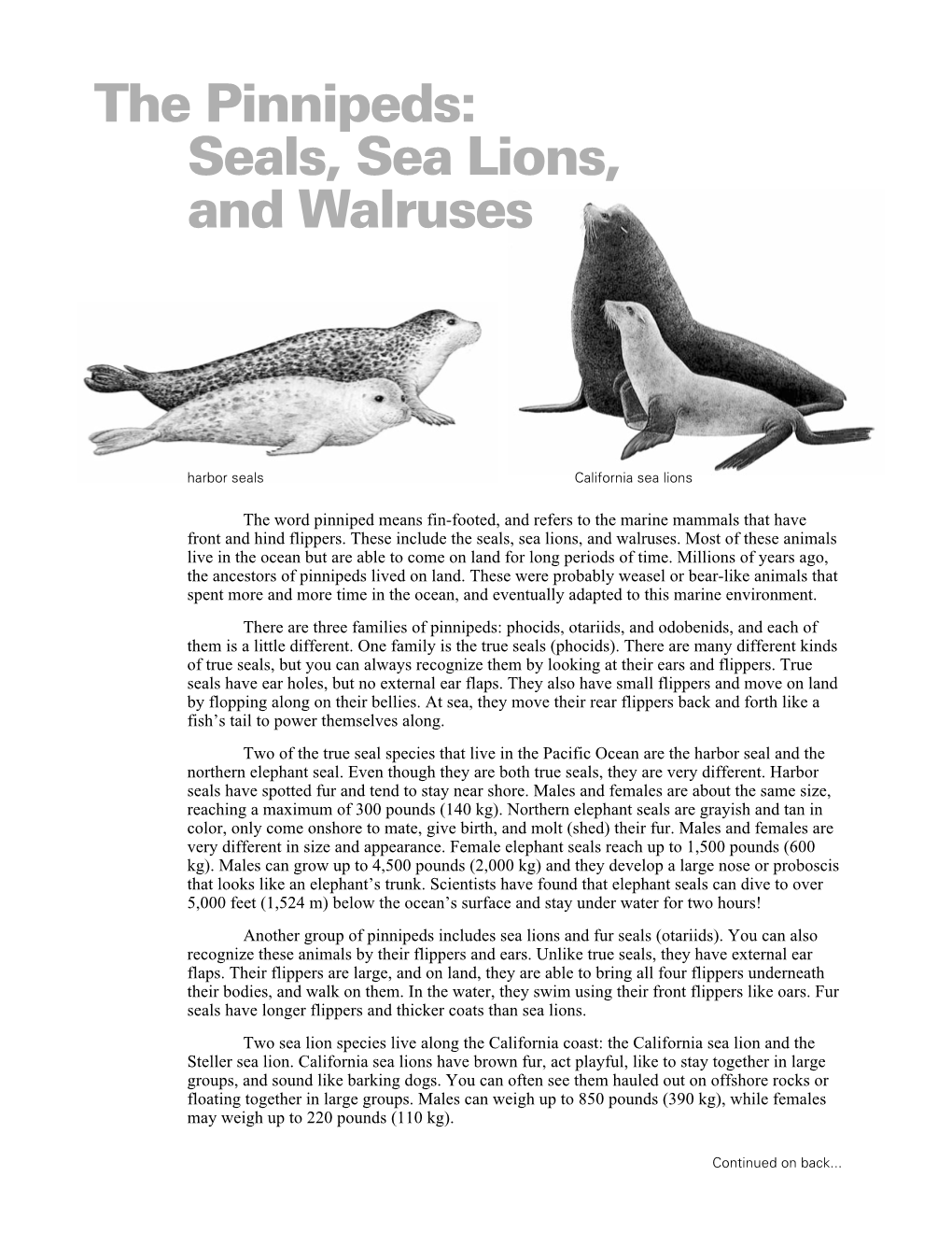 The Pinnipeds: Seals, Sea Lions, and Walruses