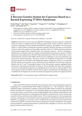 A Reverse Genetics System for Cypovirus Based on a Bacmid Expressing T7 RNA Polymerase