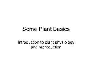 Some Plant Basics