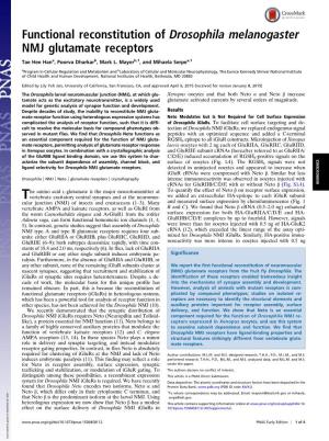 Functional Reconstitution of Drosophila Melanogaster NMJ Glutamate Receptors