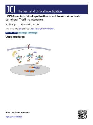 USP16-Mediated Deubiquitination of Calcineurin a Controls Peripheral T Cell Maintenance