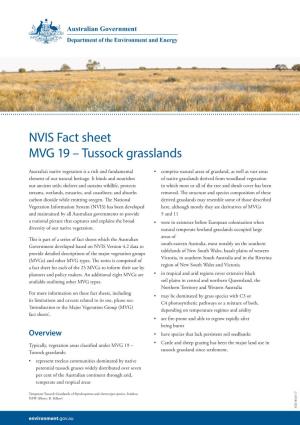 NVIS Fact Sheet MVG 19 – Tussock Grasslands
