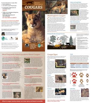 Cougar Brochure
