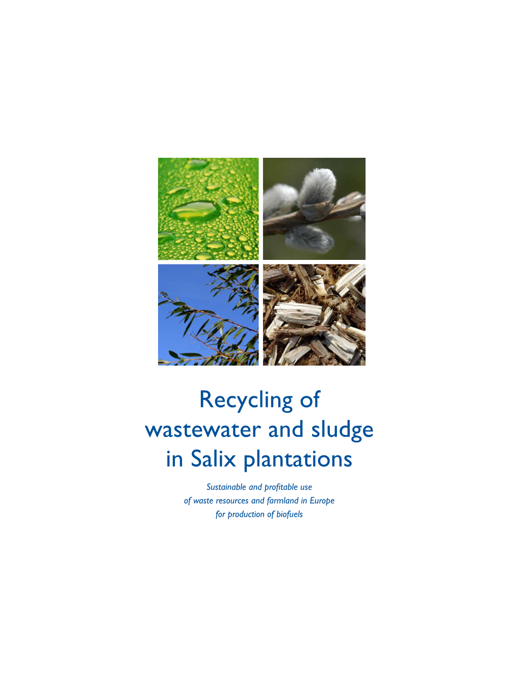 Recycling of Wastewater and Sludge in Willow Plantations