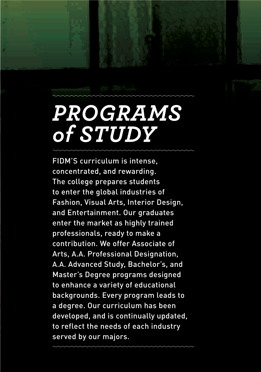 PROGRAMS of STUDY