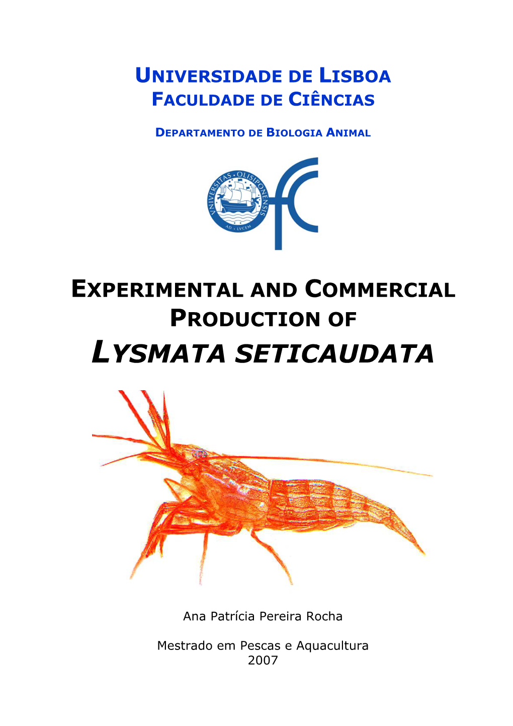 Lysmata Seticaudata