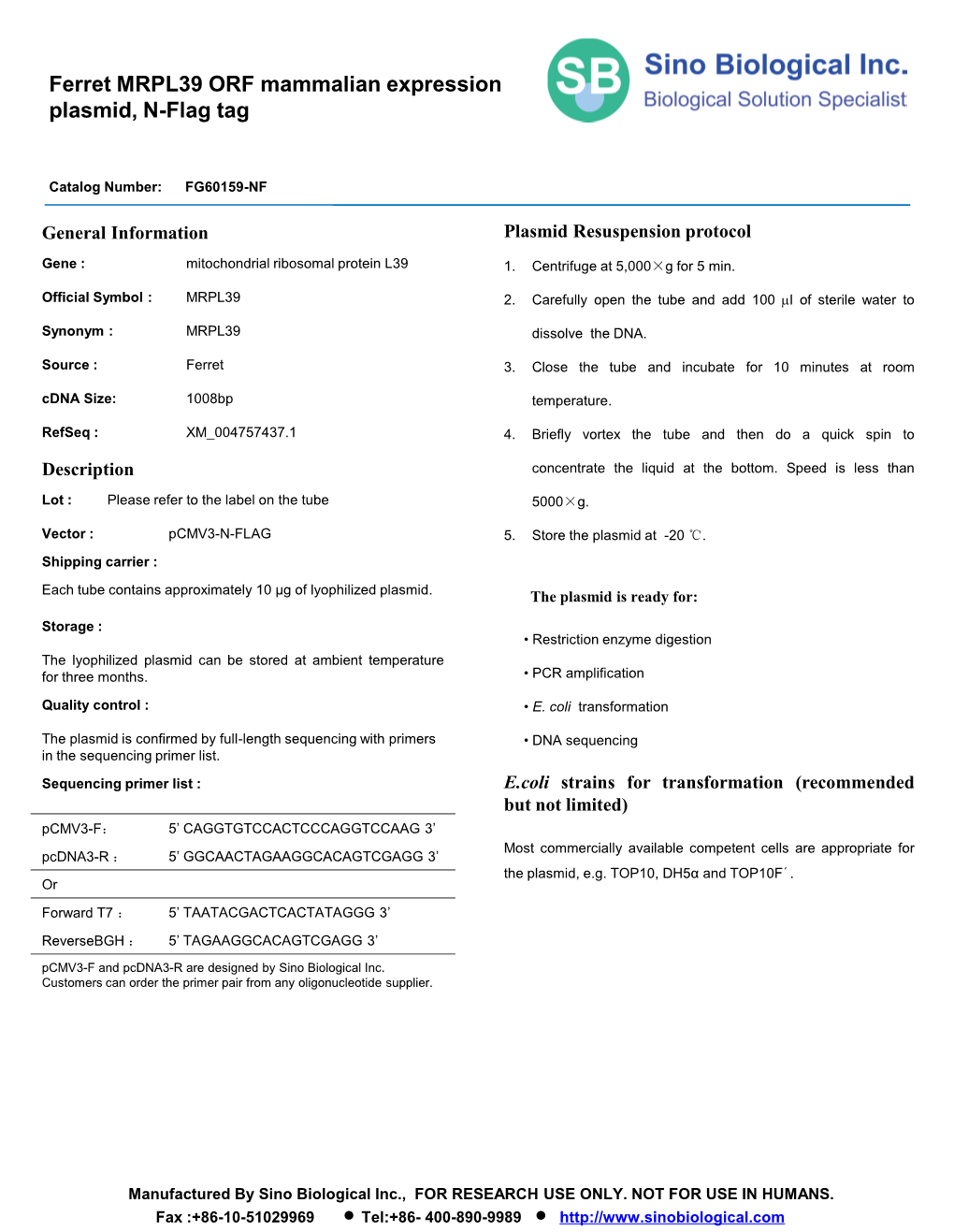 Ferret MRPL39 ORF Mammalian Expression Plasmid, N-Flag Tag