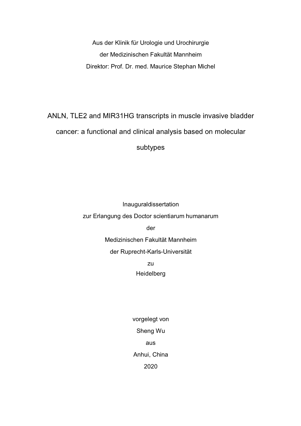 ANLN, TLE2 and MIR31HG Transcripts in Muscle Invasive Bladder Cancer