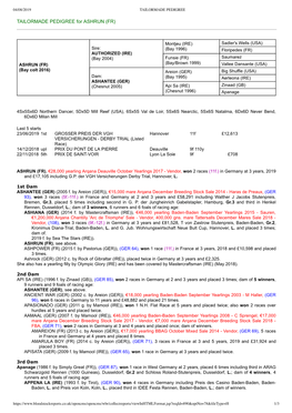 TAILORMADE PEDIGREE for ASHRUN (FR)