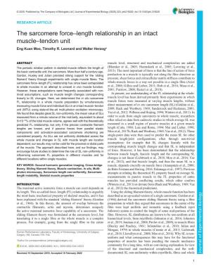 The Sarcomere Force–Length Relationship in an Intact Muscle–Tendon Unit Eng Kuan Moo, Timothy R