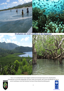 Evaluation Des Récifs Coralliens Et Des Mangroves