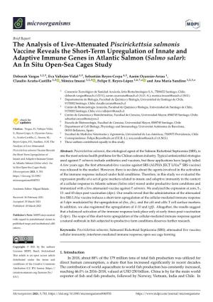 The Analysis of Live-Attenuated Piscirickettsia Salmonis Vaccine Reveals the Short-Term Upregulation of Innate and Adaptive Immu