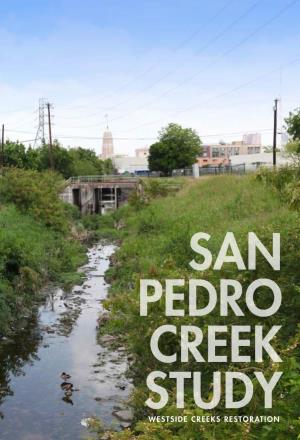 San Pedro Creek Preliminary Engineering Report