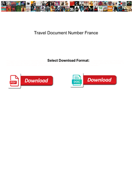 Travel Document Number France