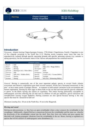 ICES Fishmap Species Factsheet-Herring