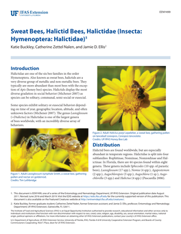 Sweat Bees, Halictid Bees, Halictidae (Insecta: Hymenoptera: Halictidae)1 Katie Buckley, Catherine Zettel Nalen, and Jamie D
