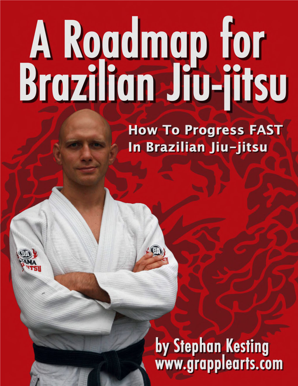 A Roadmap for Brazilian JiuJitsu, by Stephan Kesting 2 of 34 a Roadmap